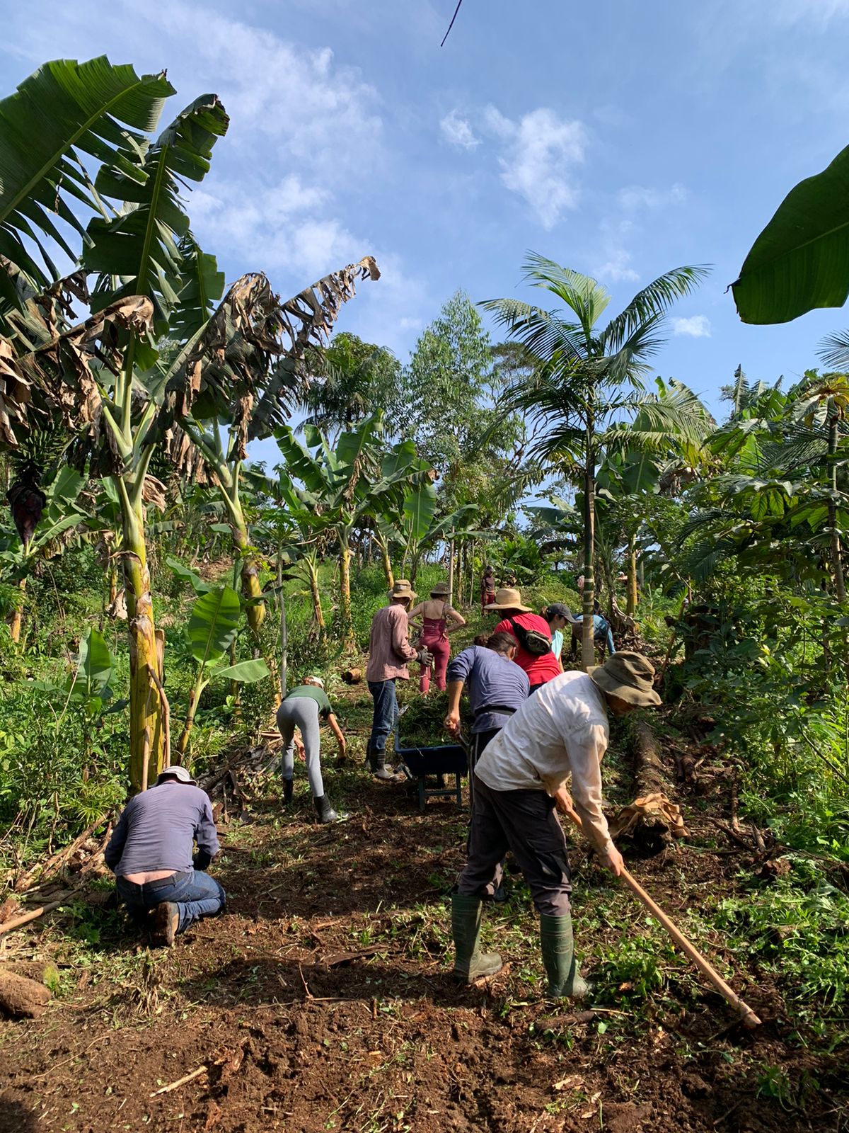 grupo manejando saf.jpg